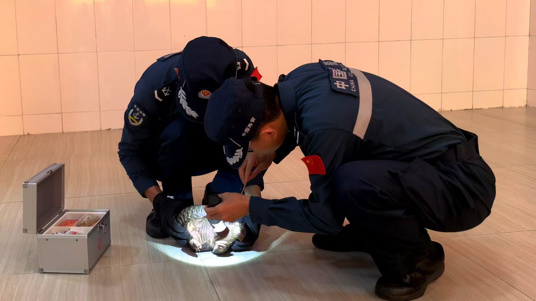 文章配图
