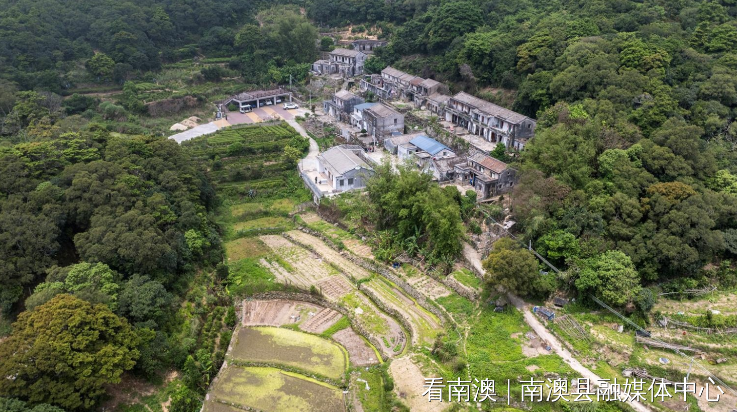 文章配图
